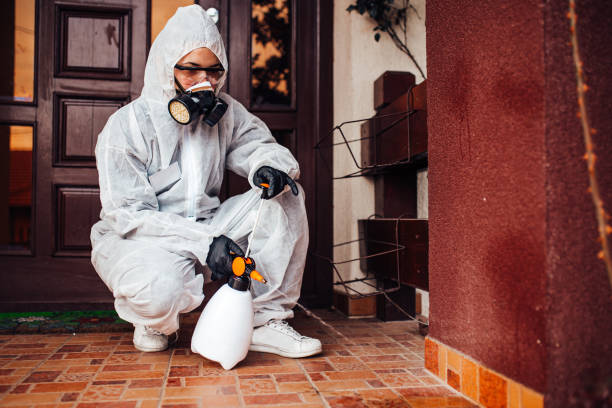 Reliable Cockroach Control contractor in Farmington, UT by Nex Pest Control